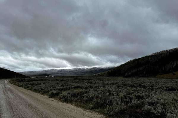 Strawberry River Road