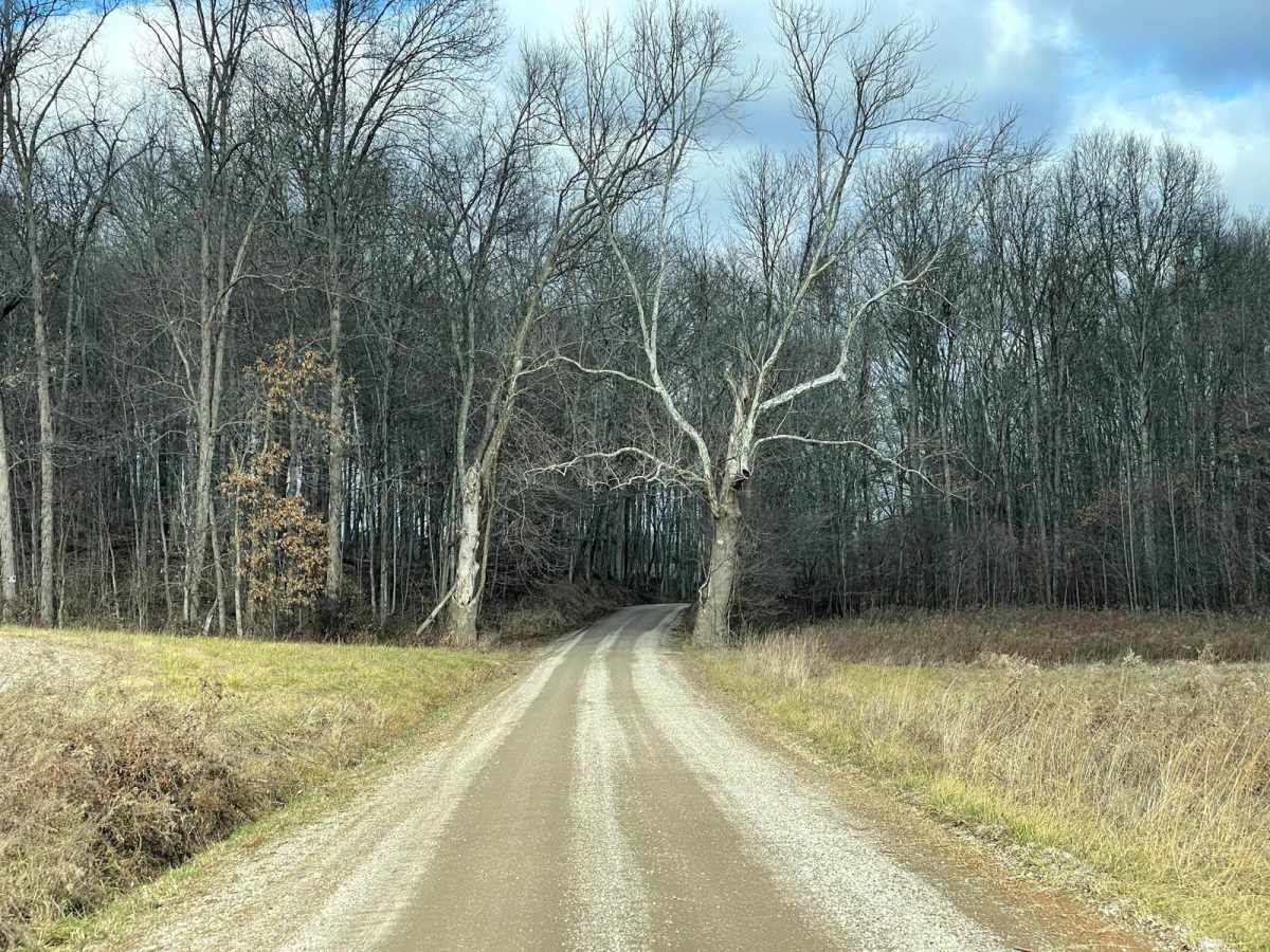 Vinton County Tunnel Tour Part 3 trail photo
