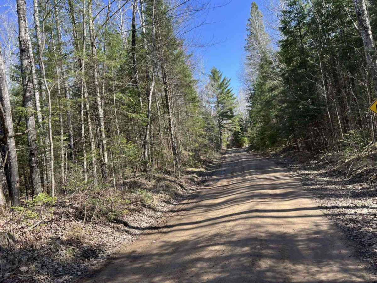 Benton Lake Road South trail photo