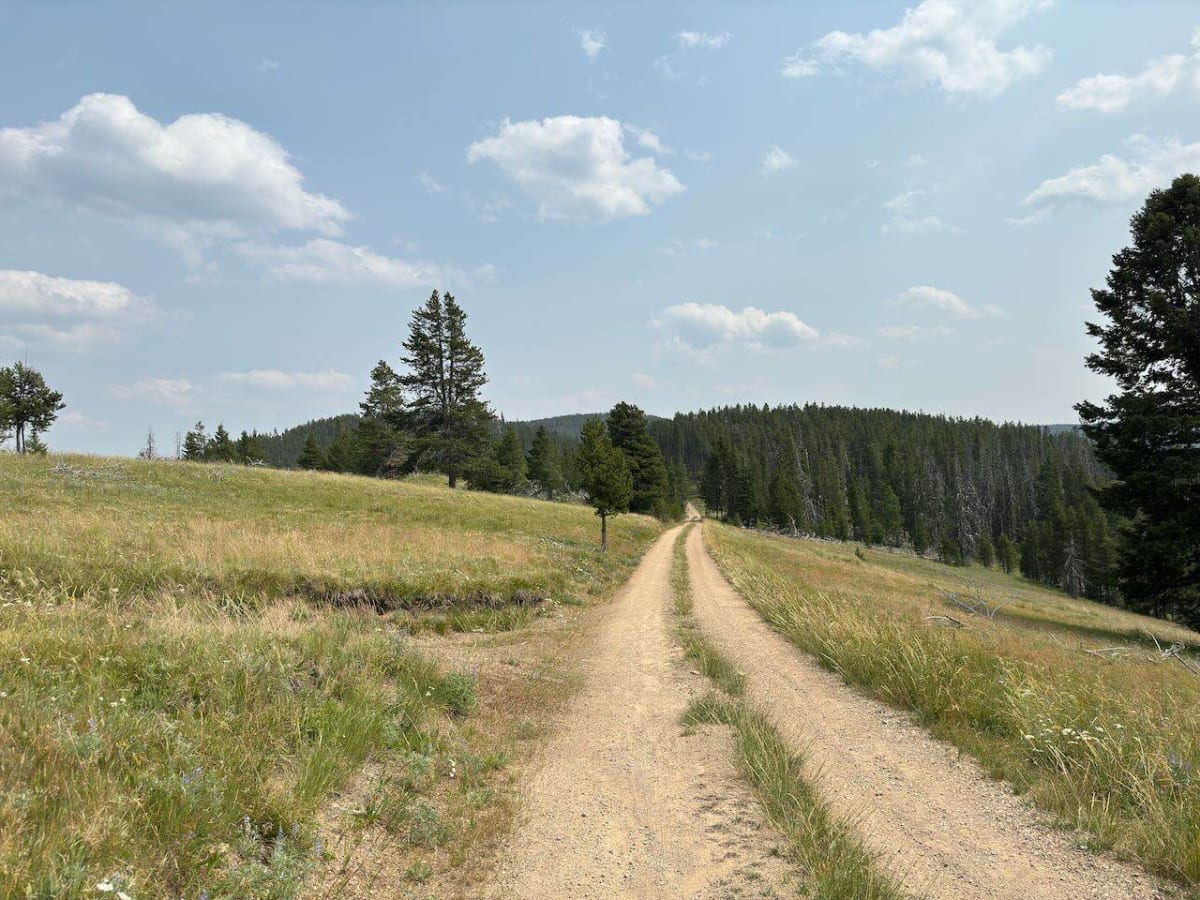 Anderson Mountain Trail photo 4