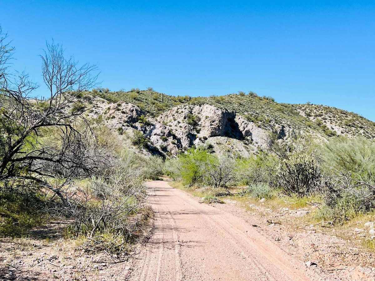 Turtleback Wash trail photo