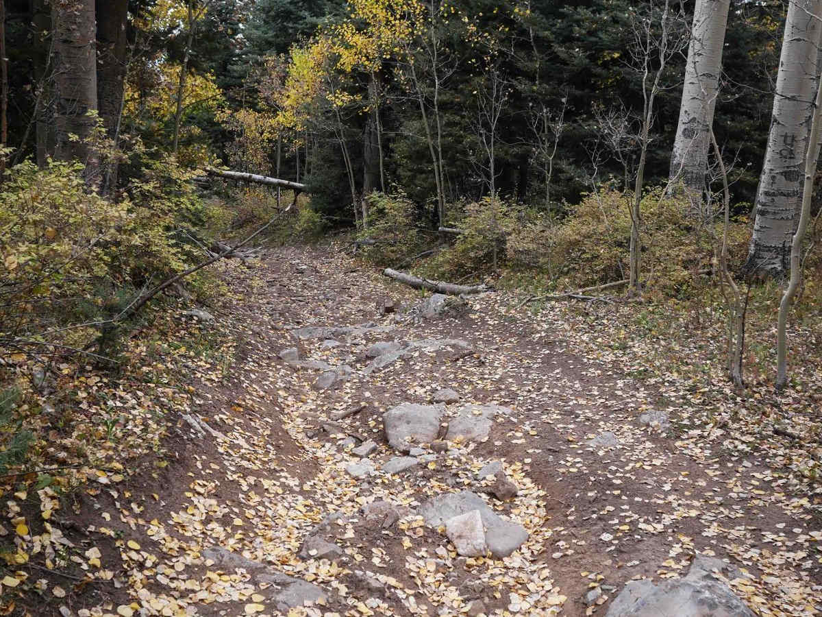 Runlett ATV photo 4