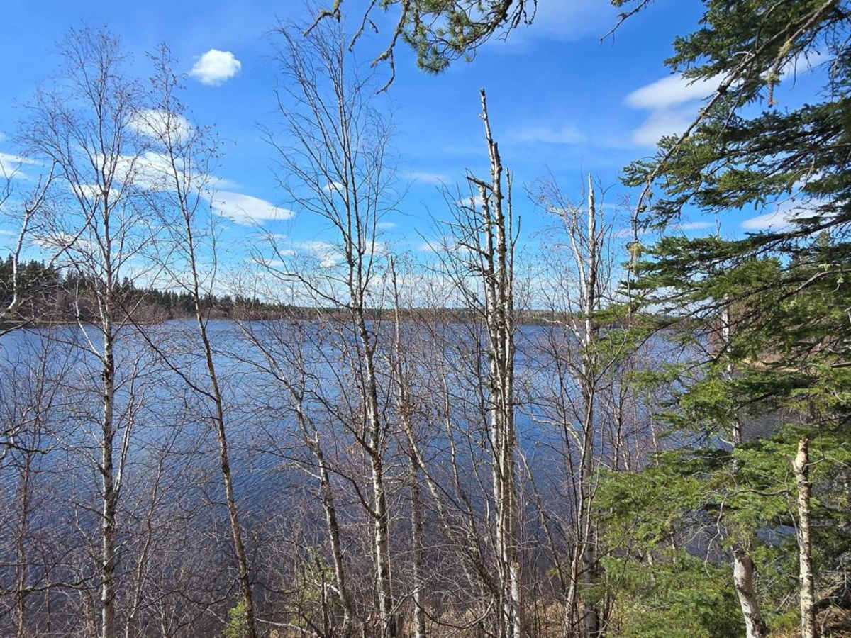 Gosling Lake Trail photo 3