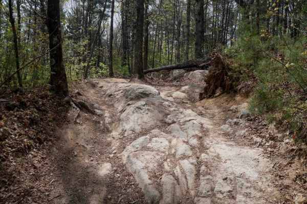 Trail 4 Kirby's Loop