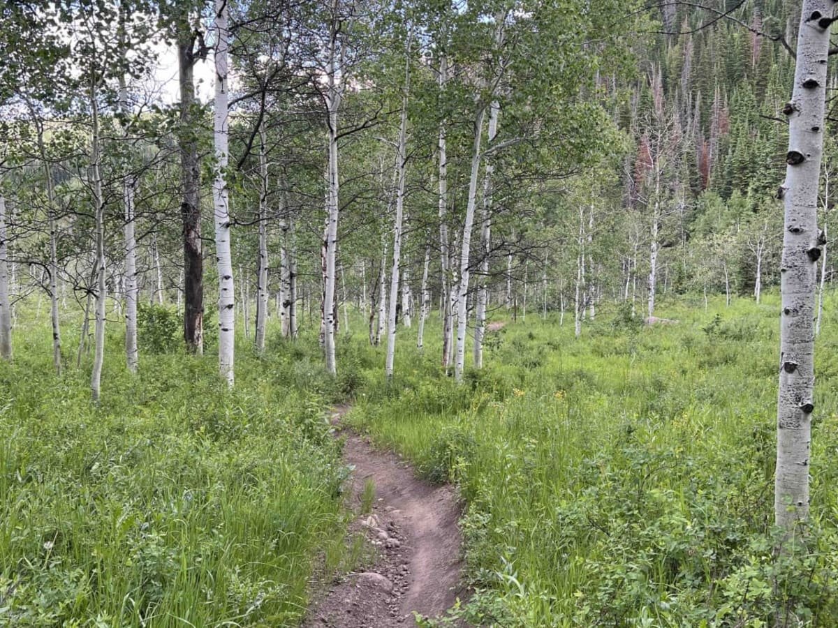 Camp Hollow photo 2