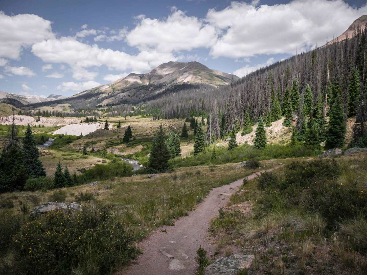 Pole Creek trail photo