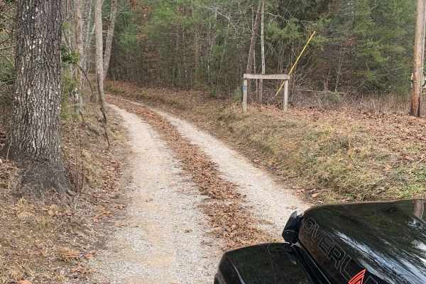 Bandy Creek Trek