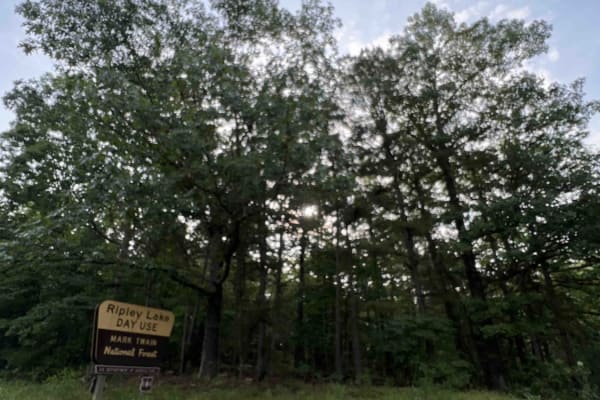 Ripley Lake 3240