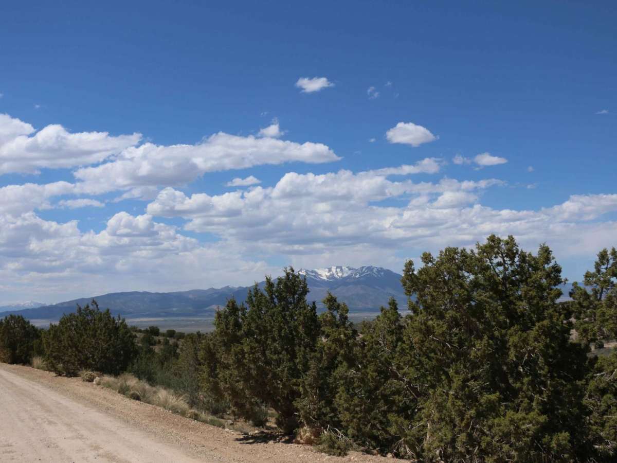 Lake Mountain Block Road photo 4