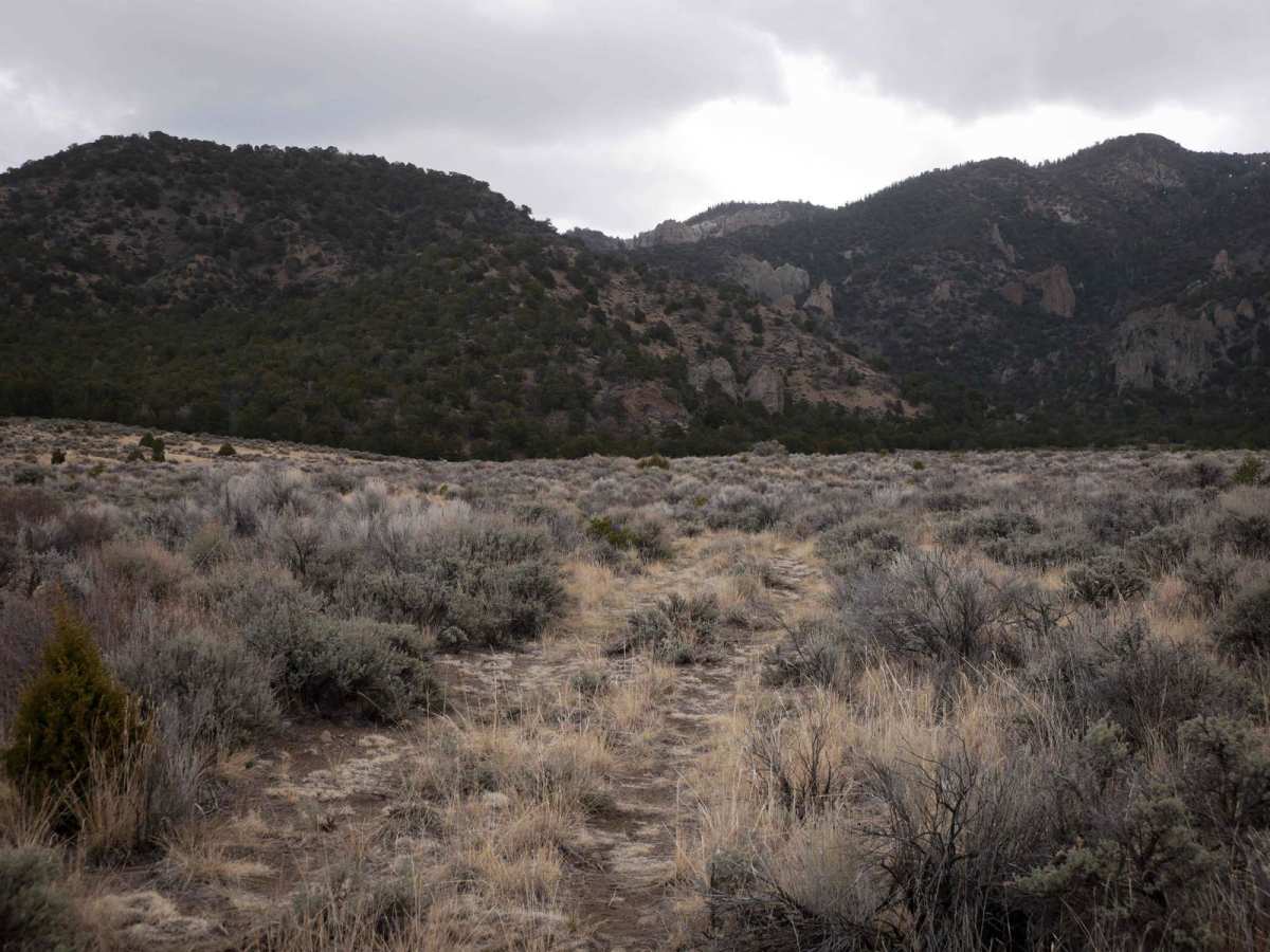 Marshall Canyon ATV Trail photo 4