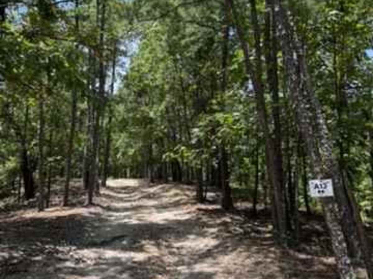 A13 trail photo