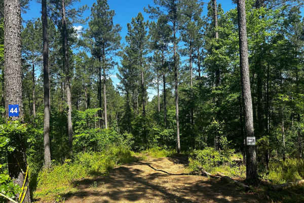 Trail 44