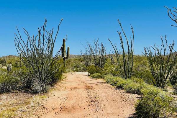 Jimmie Wash Trail
