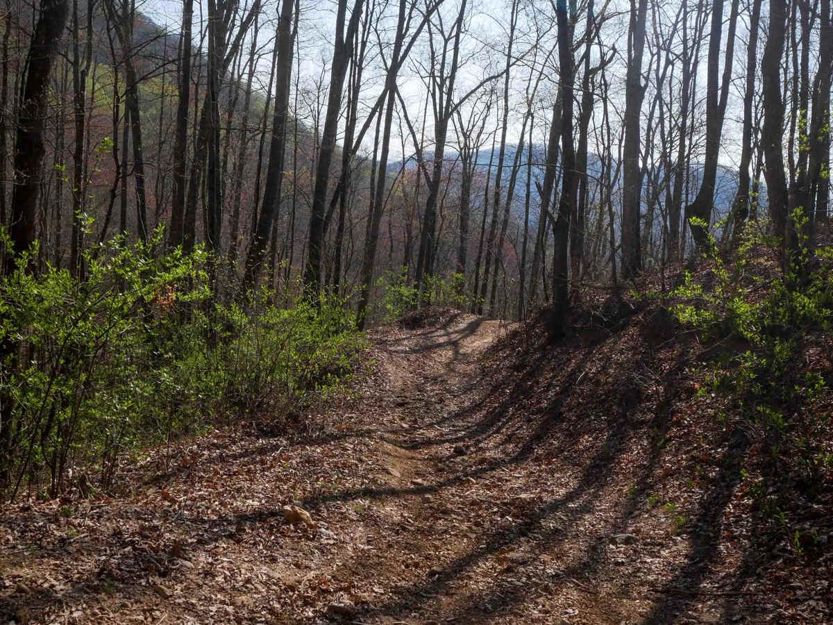 Locust Gap Trail 2 trail photo