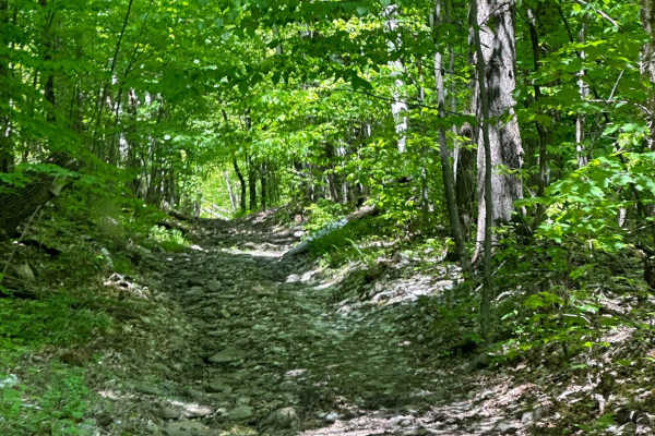 Mason Hill