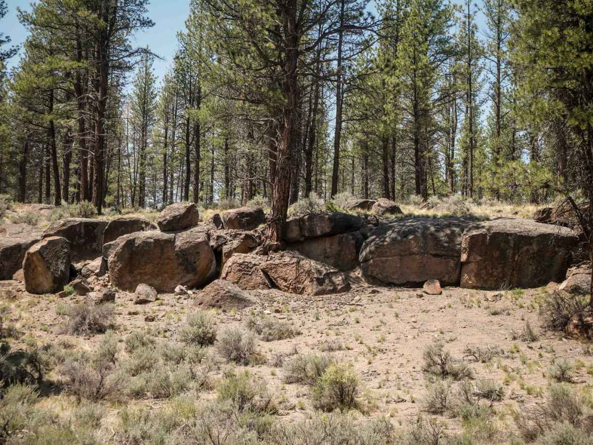 5 trail photo
