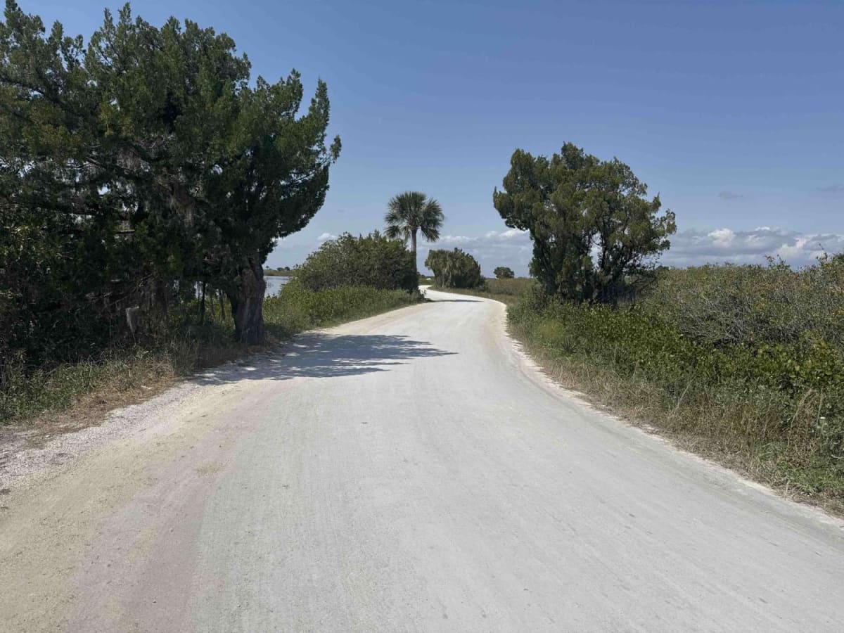 Black Point Wildlife Drive photo 5