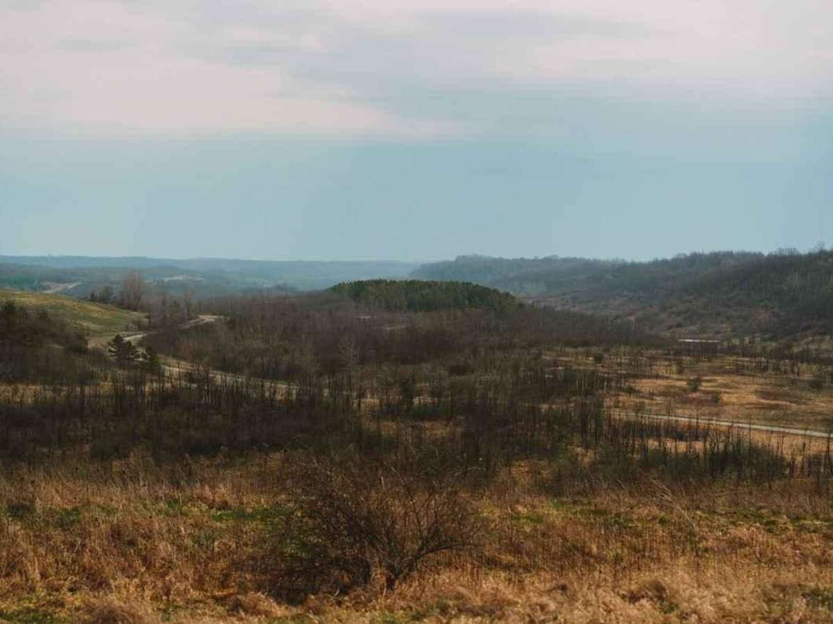 The Ridge Run photo 3