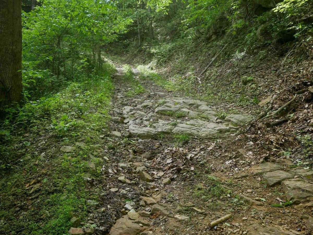 MV20 trail photo