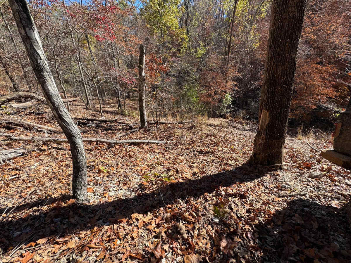 One Tree Hill 131 trail photo
