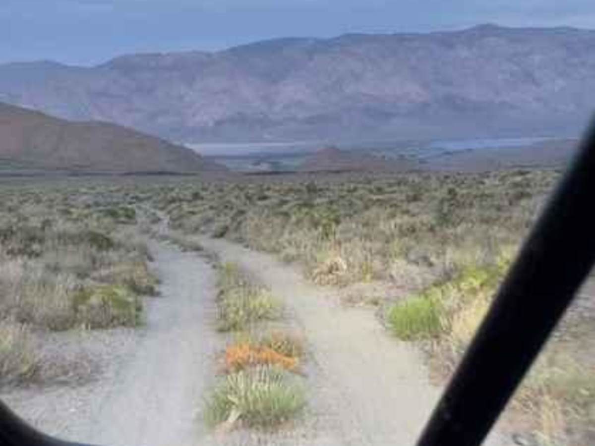 Crater Mountain Loop trail photo