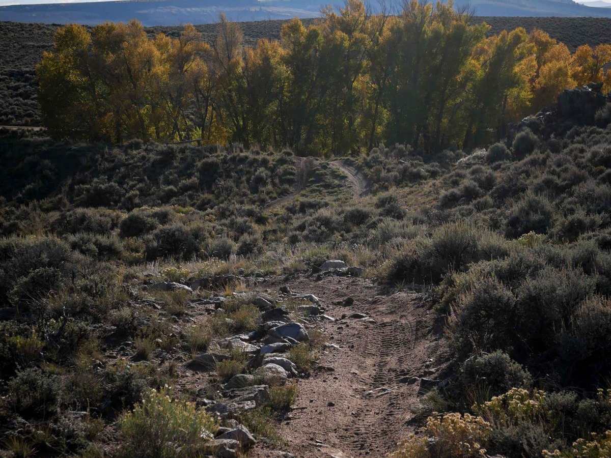 Luge trail photo