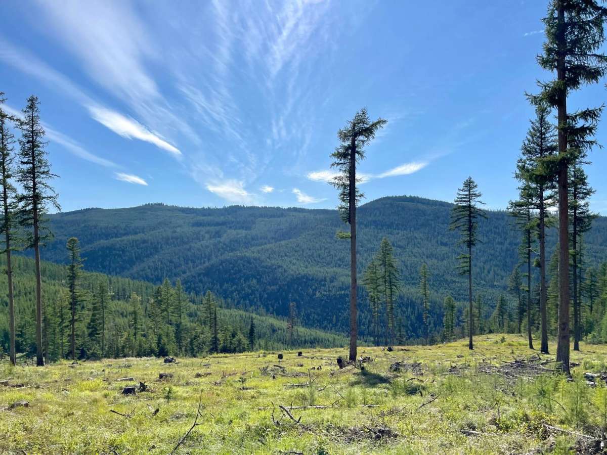 Firewood trail photo