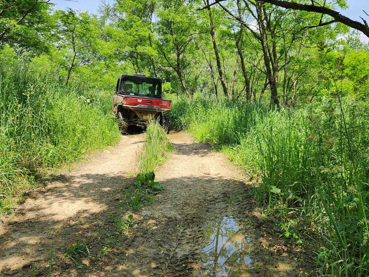Trail 11J - Rock Run Recreation Area photo 6
