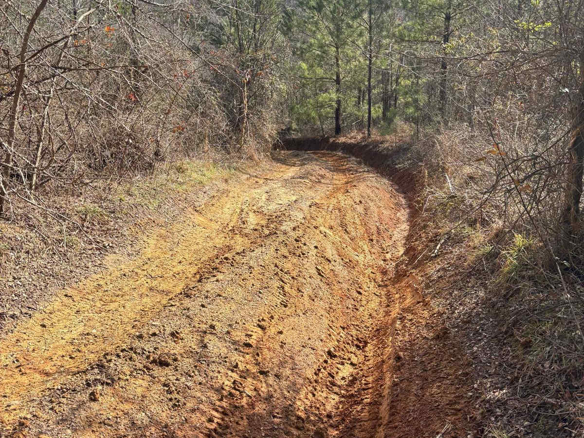 Ash Road trail photo
