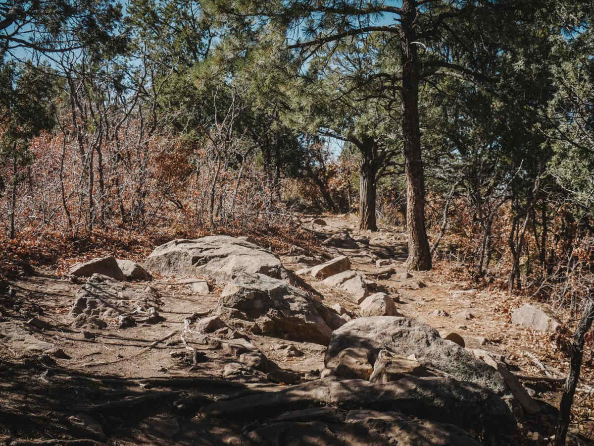 Easy Pickin trail photo