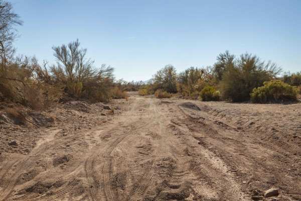 Varied Loop Trail