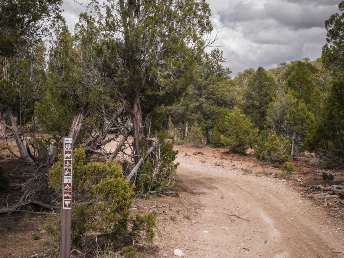Fast Times trail photo