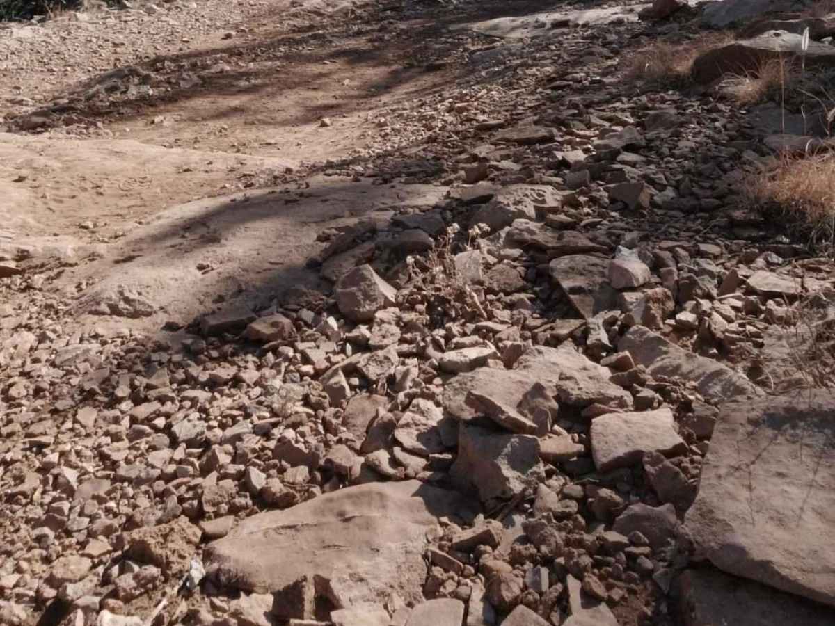 Flowing Springs MT-74 photo 2