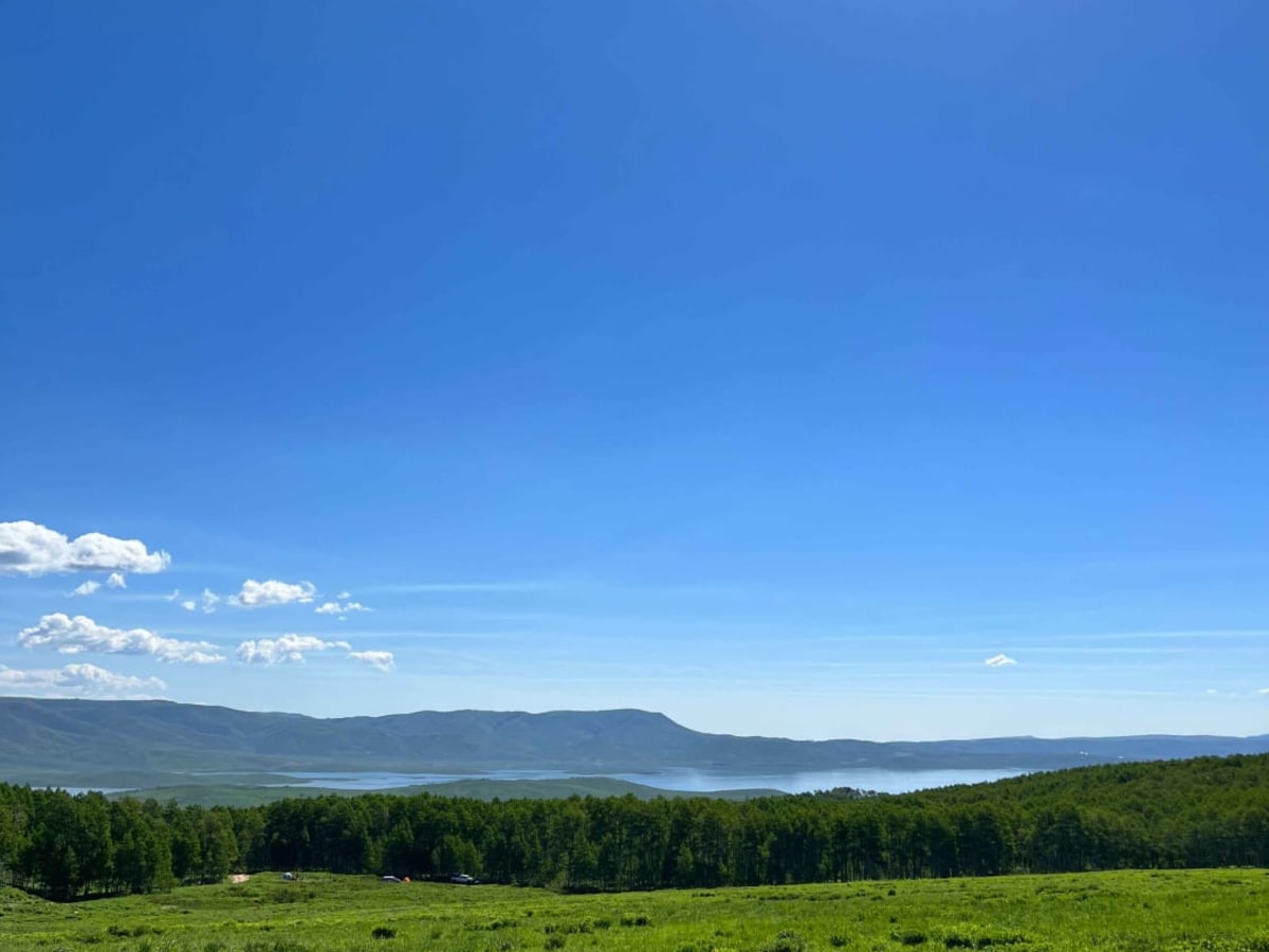 Mud Creek Road - 70150 photo 4