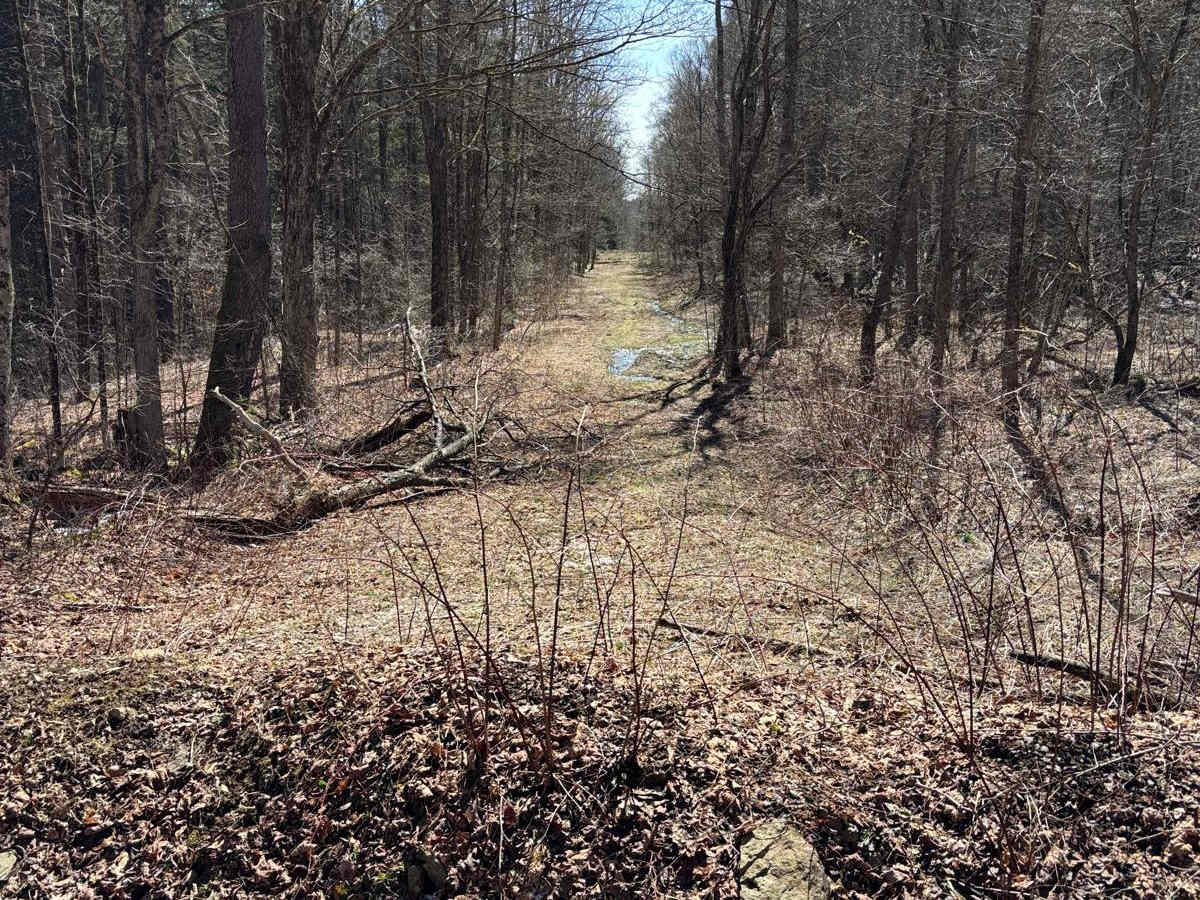 Freeman Rd photo 3