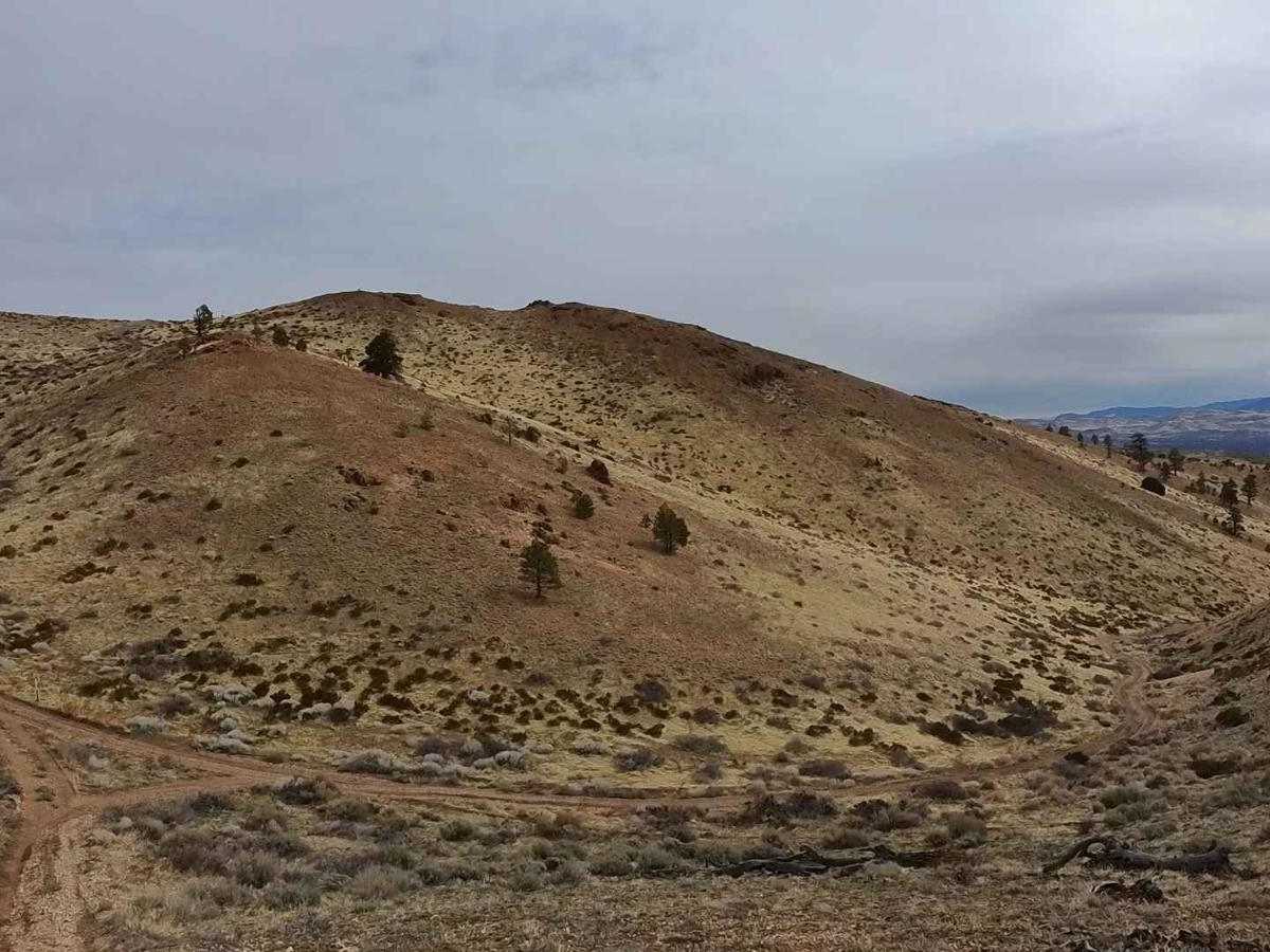 Golden Fleece Mine Road photo 2