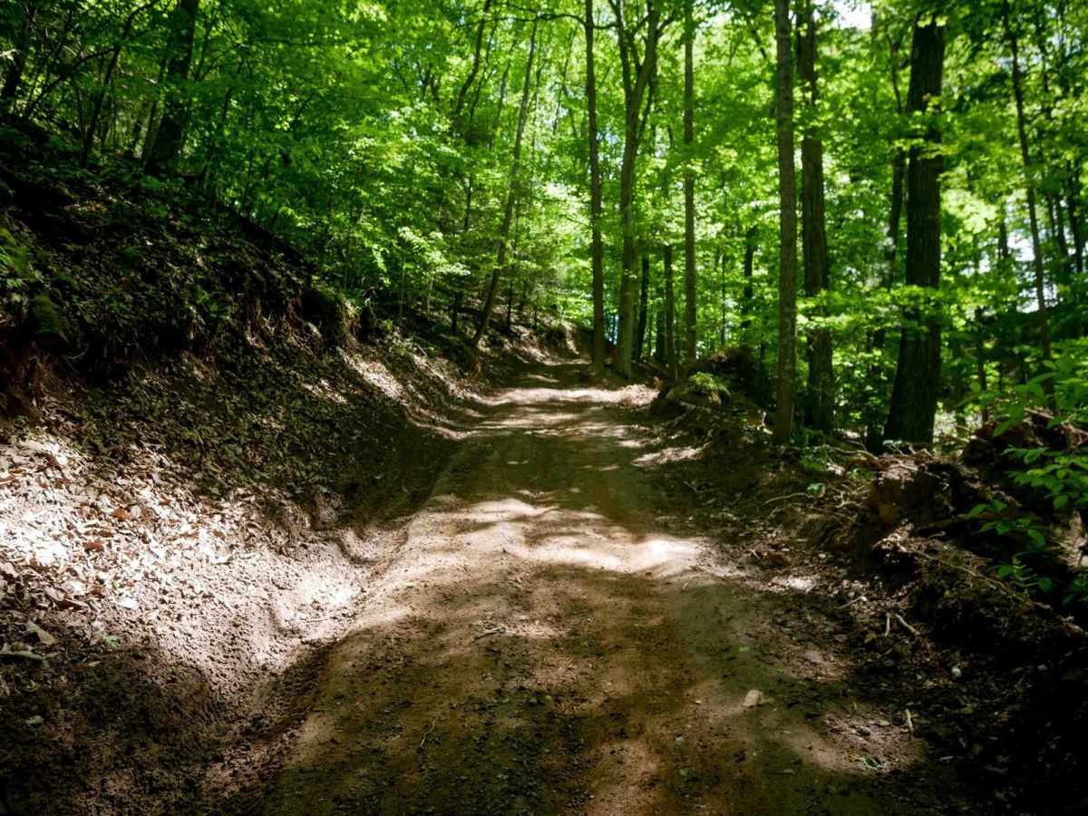 Trail 24 trail photo