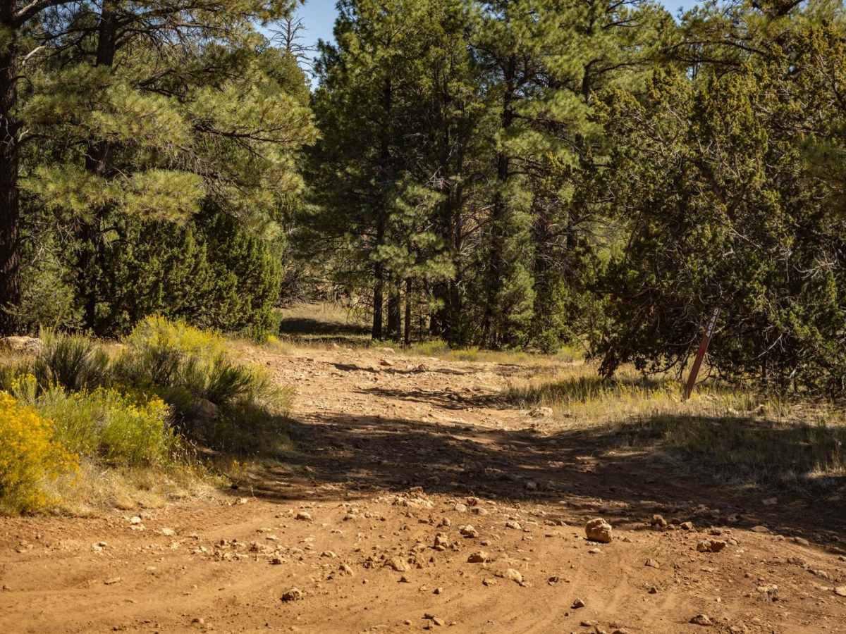 9484 trail photo