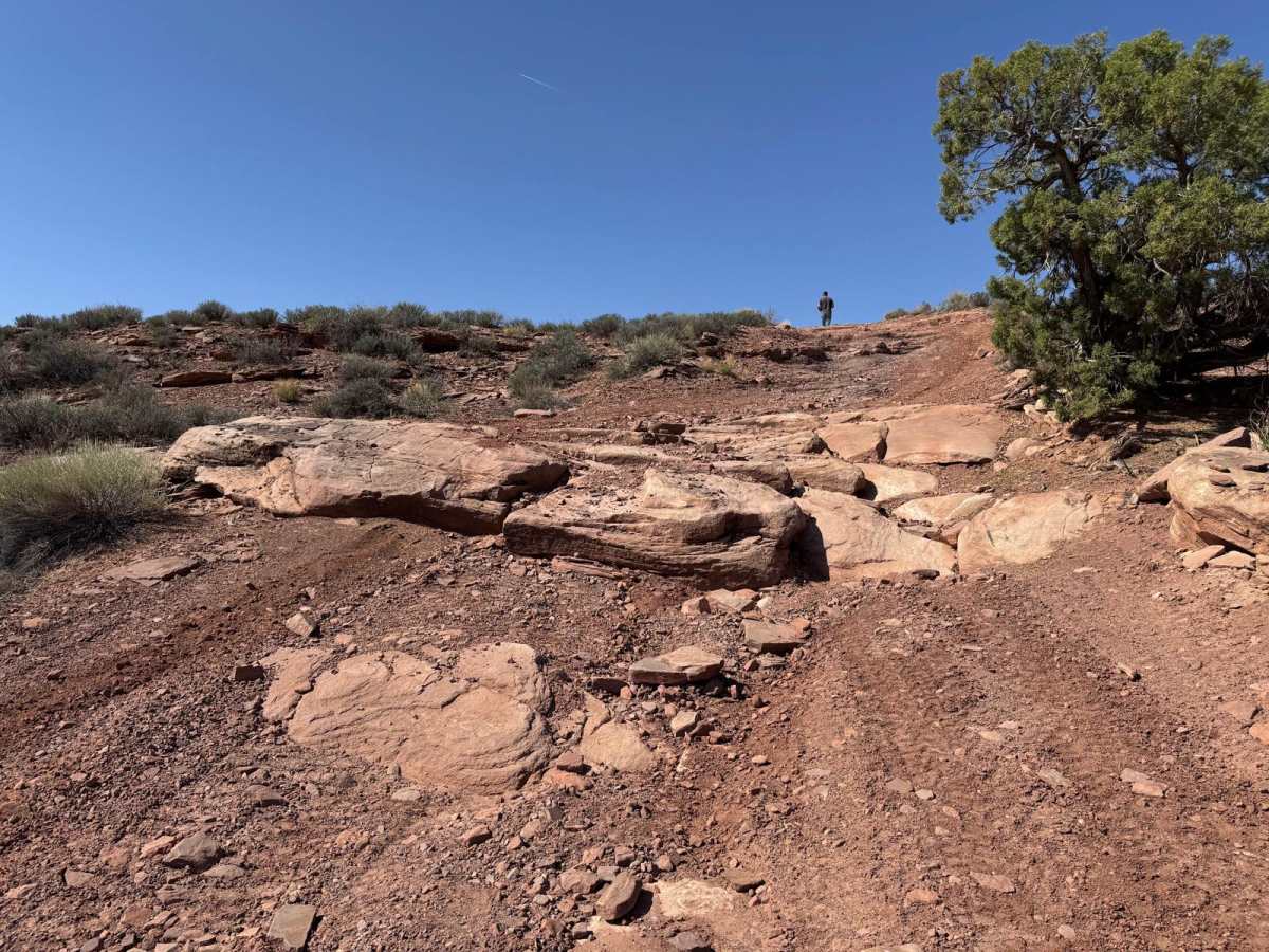 Little Canyon Trail photo 5