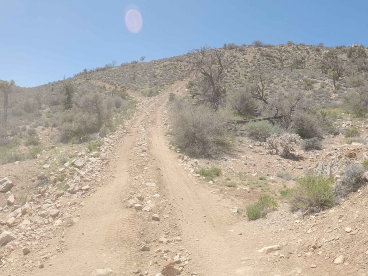 BLM C2340 photo 4