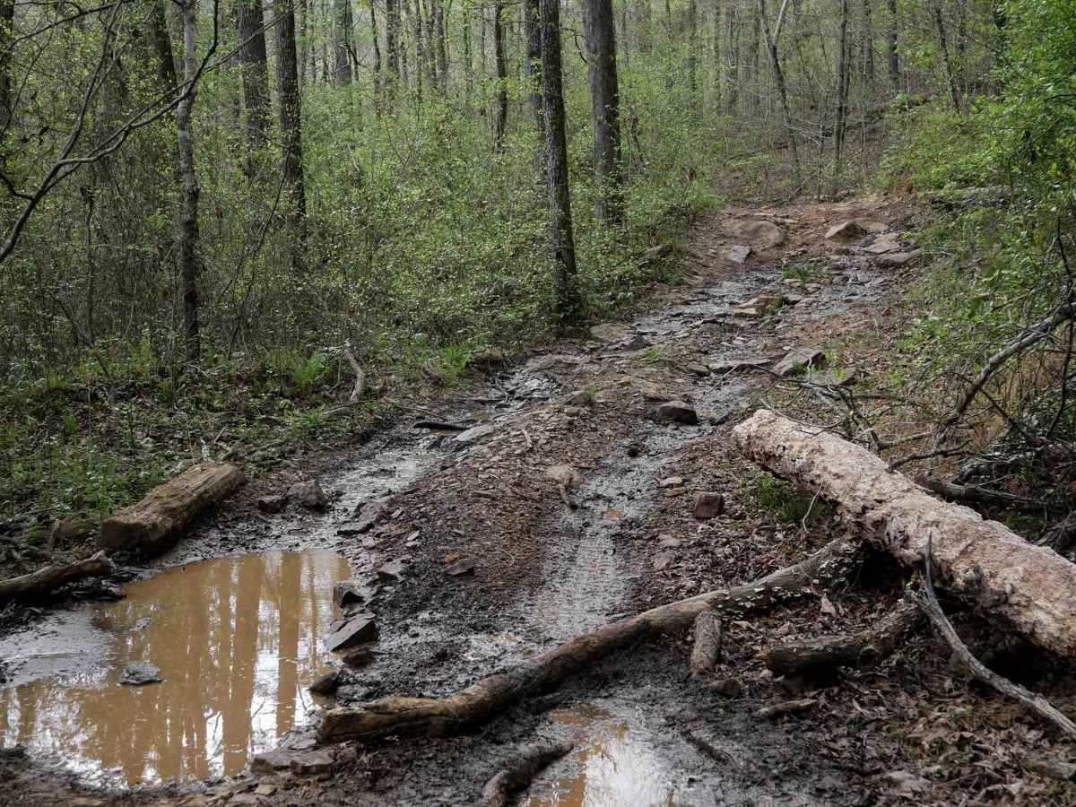 Gap Hollow Spur West photo 6