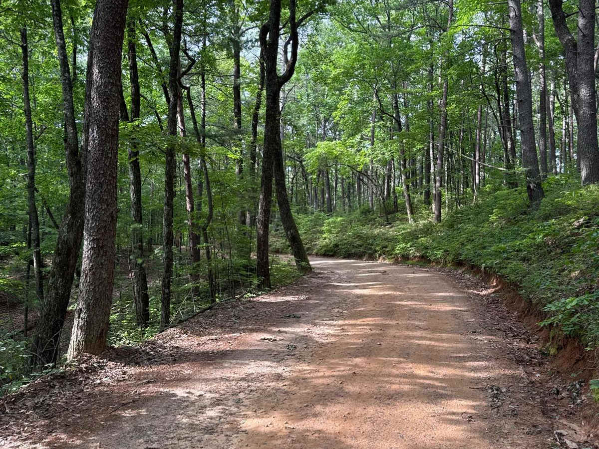 Winding Stair Gap - FS 77 trail photo