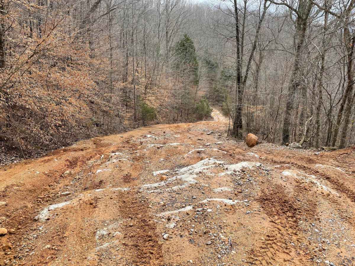 Little Coon River Trail photo 3