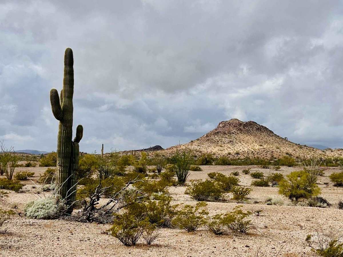 Eagletail Wilderness Boundary Run trail photo