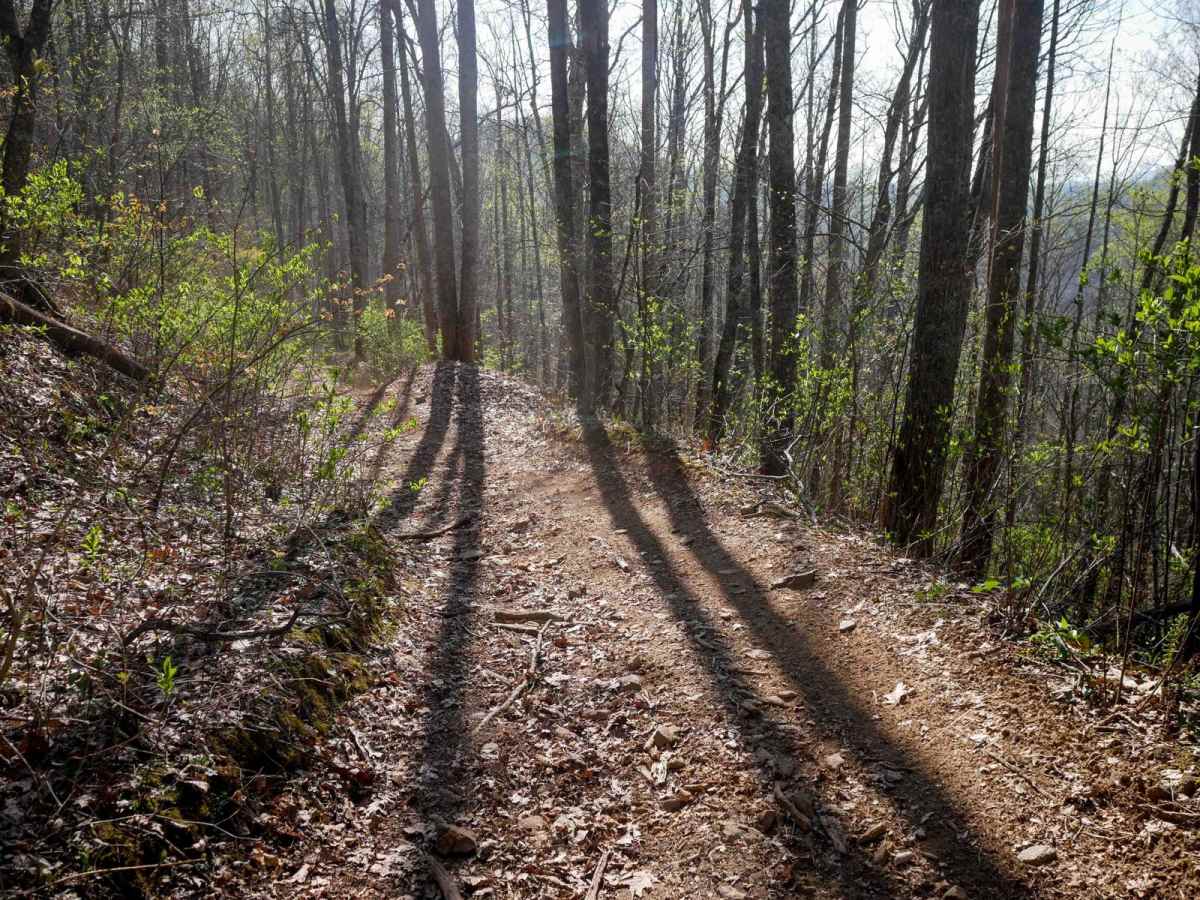 Sawmill Bottoms Trail 8 photo 5