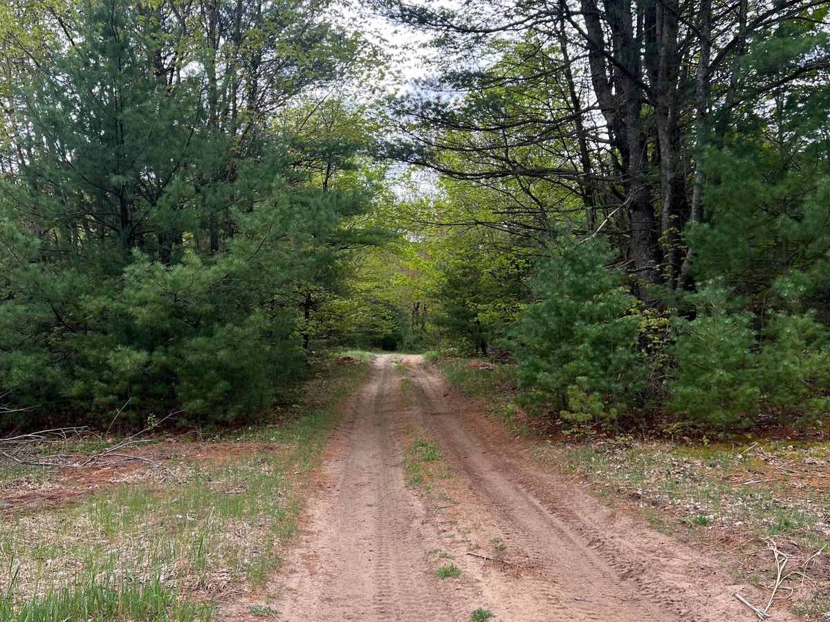 East Wheeler Creek Trail photo 3
