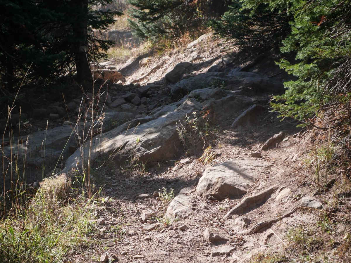 Buck Spur photo 3