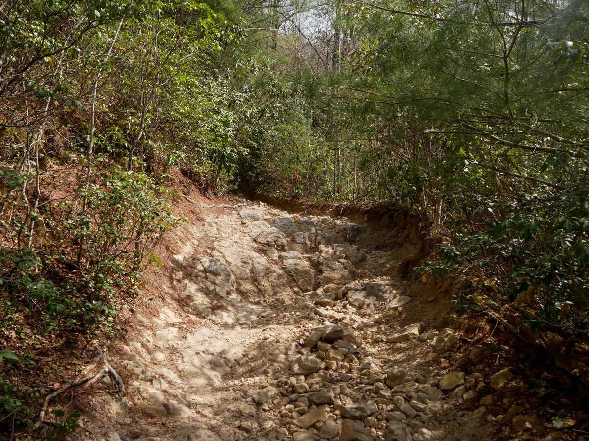 115 trail photo