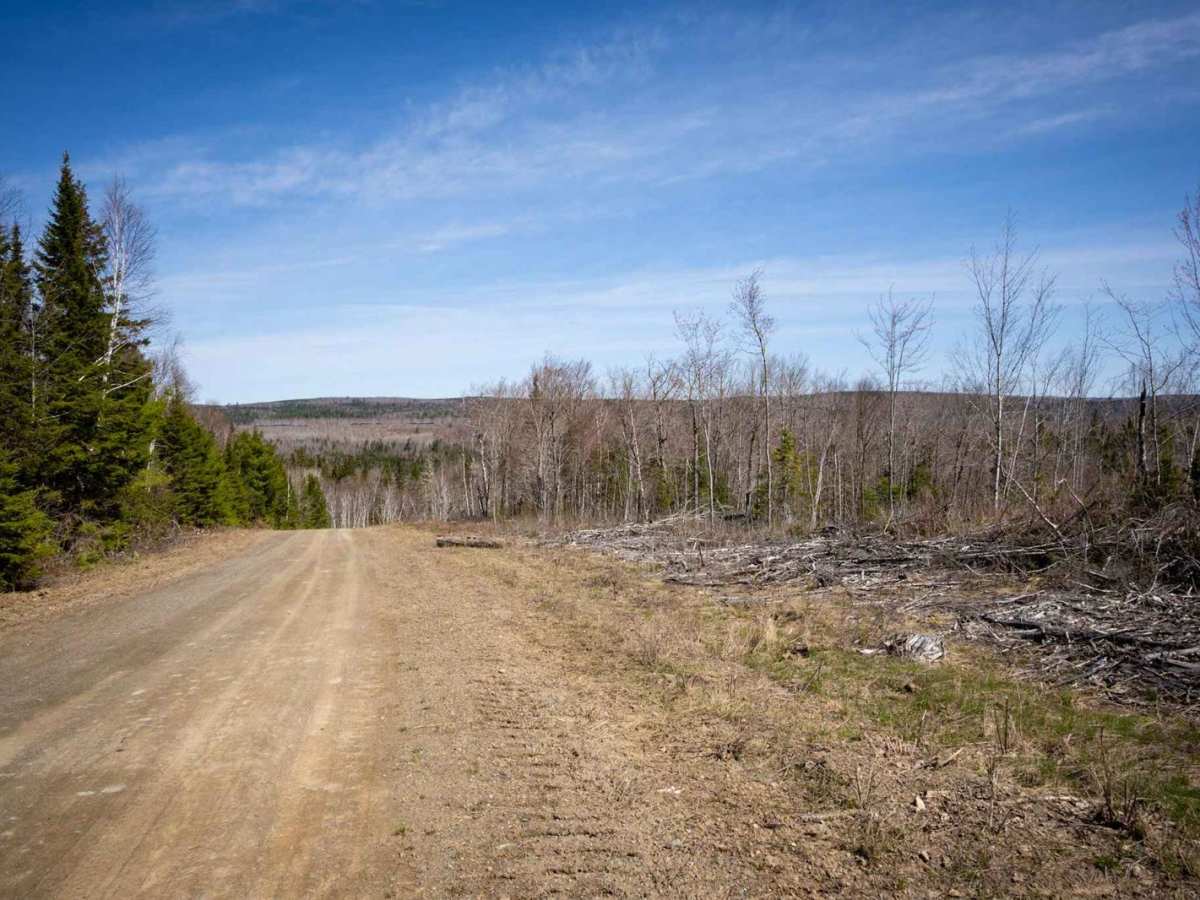 Tetagouche Trail (Part 1) photo 4
