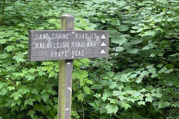 Sand Spring Road